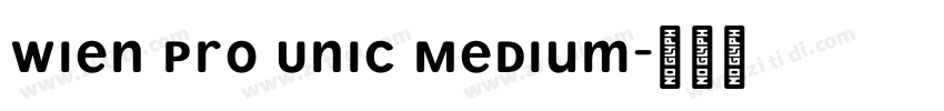 Wien Pro Unic Medium字体转换